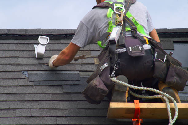 Best Roof Repair Services  in La Huerta, NM