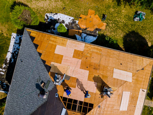 Best Commercial Roofing Services  in La Huerta, NM