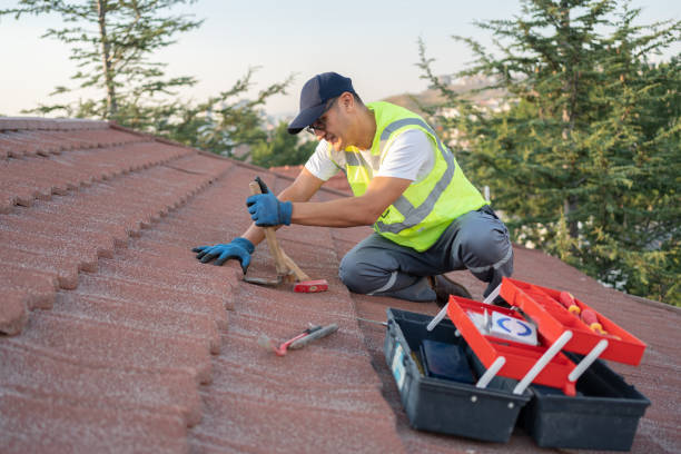 Best Sealant for Roof  in La Huerta, NM