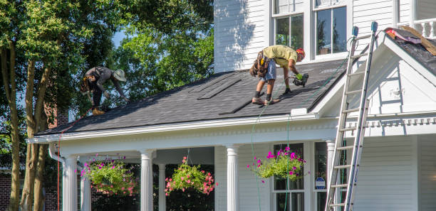 Best Roof Gutter Cleaning  in La Huerta, NM