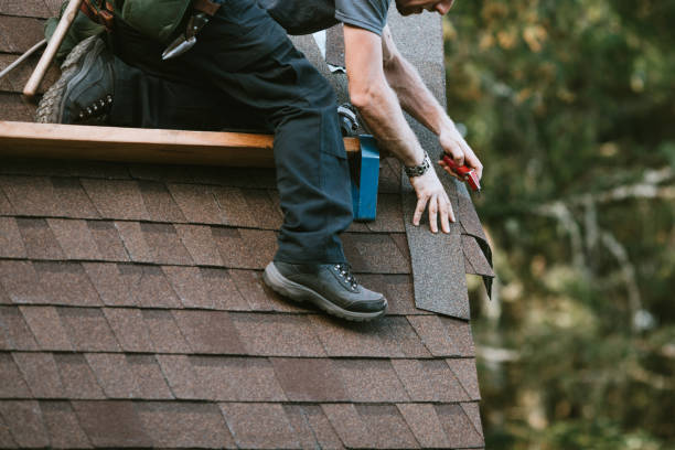 Best Flat Roof Repair Services  in La Huerta, NM