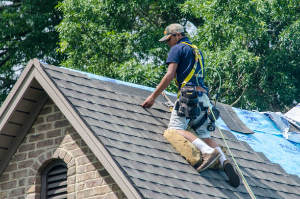 Best Gutter Installation and Roofing  in La Huerta, NM