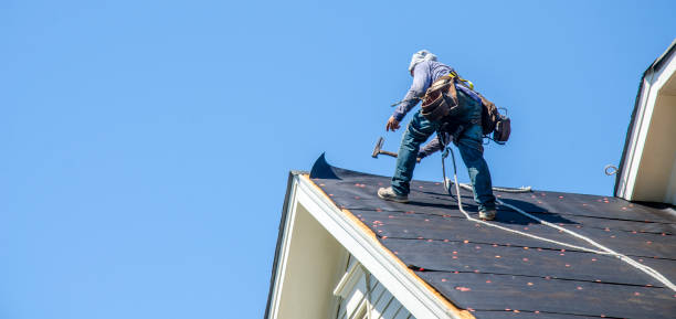 Best Roof Repair Services  in La Huerta, NM